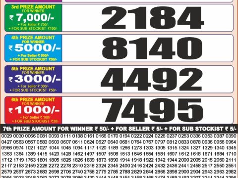 punjab state dear 20 Monthly