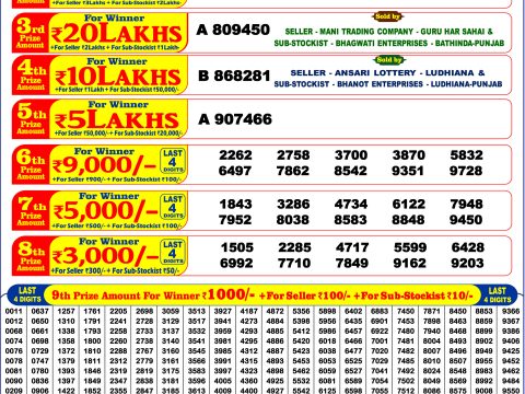Punjab State Dear Summer Special Bumper 2026 Result 13.06.26 Punjab State Dear Summer Special Bumper