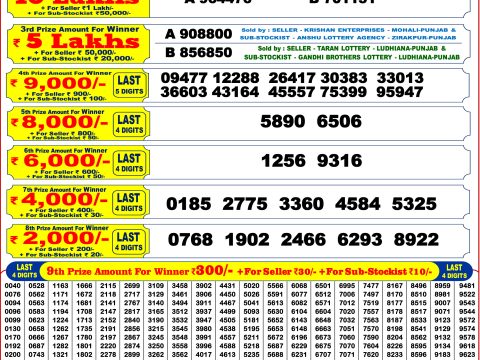 Punjab State Lottery Dear 200 Monthly Result 6PM 04.07.26